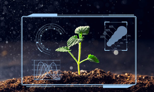 Идея для приложения: «Умный садовод». Разработка мобильного приложения для автоматизированного ухода за растениями